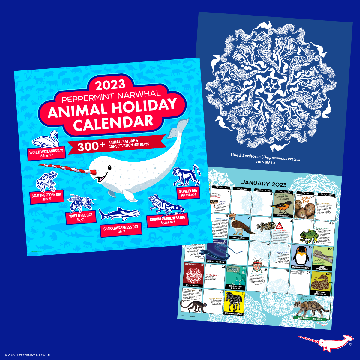 2023 Animal Holiday Calendar Peppermint Narwhal Conservation